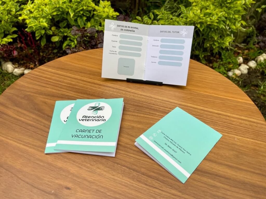 WhatsApp Image 2025-06-16 at 11.09.20 AM-4